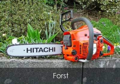 forst